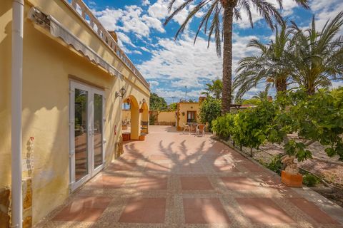 Landejendom i Elche, Alicante, Elche - € 340.000 | Ref: NS1790 - foto 20