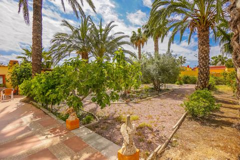 Landejendom i Elche, Alicante, Elche - € 340.000 | Ref: NS1790 - foto 21