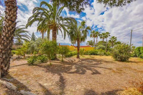 Landejendom i Elche, Alicante, Elche - € 340.000 | Ref: NS1790 - foto 22