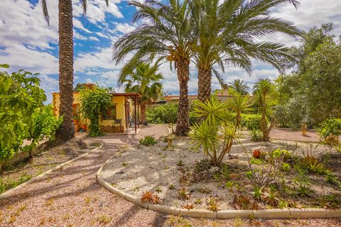 Landejendom i Elche, Alicante, Elche - € 340.000 | Ref: NS1790 - foto 23