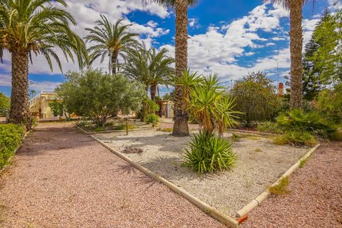 Landejendom i Elche, Alicante, Elche - € 340.000 | Ref: NS1790 - foto 24
