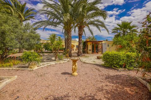 Landejendom i Elche, Alicante, Elche - € 340.000 | Ref: NS1790 - foto 25