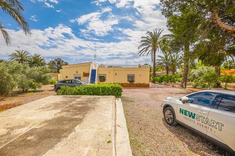 Landejendom i Elche, Alicante, Elche - € 340.000 | Ref: NS1790 - foto 26