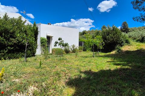 Villa a Alfafara, Alicante, Alfafara - € 260.000 | Ref: LOSDH3554 - foto 12