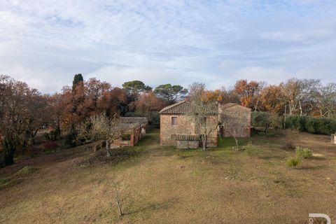 Landejendom i Lucignano, Arezzo, Lucignano - € 680.000 | Ref: R06894LURU - foto 2