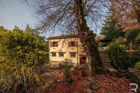 Landejendom i Rufina, Florence, Rufina - € 399.000 | Ref:  R06891RURU - foto 5