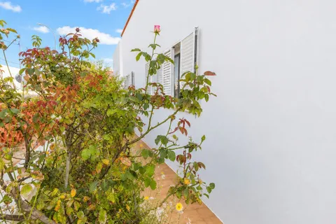 Landejendom i Antigua, Fuerteventura, Antigua - € 265.000 | Ref: MAS0012 - foto 24