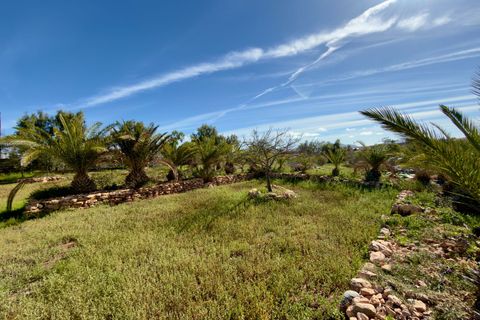 Landejendom i Tuineje, Fuerteventura - foto 4