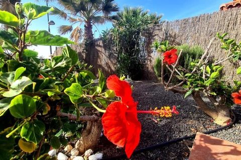 Villa a Corralejo, Fuerteventura, Corralejo - € 289.000 | Ref: CHA0005 - foto 28