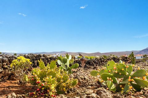 Villa i Villaverde, Fuerteventura, Villaverde - € 1.530.000 | Ref: LUX0005 - foto 25