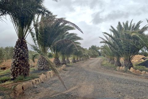 Landejendom i Antigua, Fuerteventura, Antigua - € 450.000 | Ref: MAS0009 - foto 2