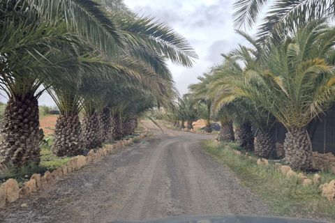 Landejendom i Antigua, Fuerteventura, Antigua - € 450.000 | Ref: MAS0009 - foto 3