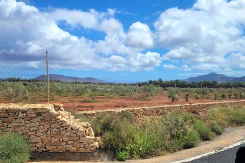 Landejendom i Antigua, Fuerteventura, Antigua - € 450.000 | Ref: MAS0009 - foto 5
