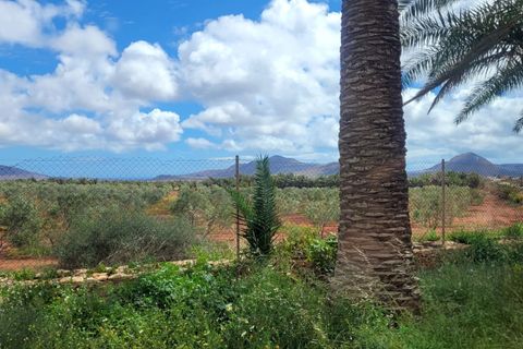 Landejendom i Antigua, Fuerteventura, Antigua - € 450.000 | Ref: MAS0009 - foto 6