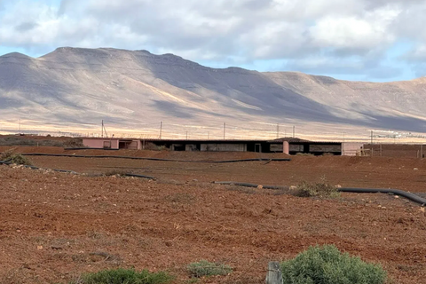 Landejendom i Antigua, Fuerteventura, Antigua - € 450.000 | Ref: MAS0009 - foto 7