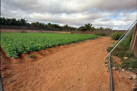 Landejendom i Antigua, Fuerteventura, Antigua - € 450.000 | Ref: MAS0009 - foto 17