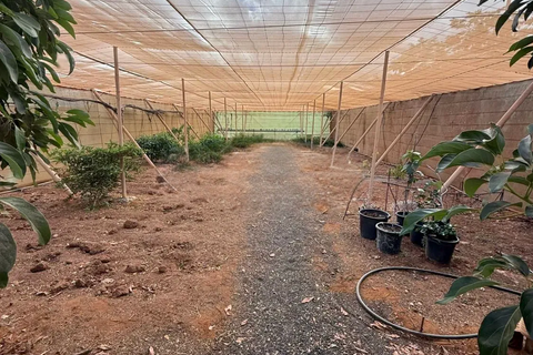 Landejendom i Antigua, Fuerteventura, Antigua - € 450.000 | Ref: MAS0009 - foto 18