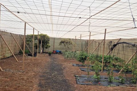 Landejendom i Antigua, Fuerteventura, Antigua - € 450.000 | Ref: MAS0009 - foto 19