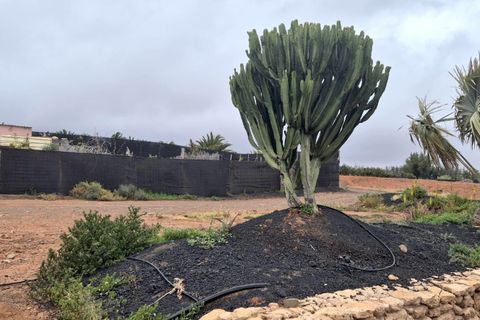 Landejendom i Antigua, Fuerteventura, Antigua - € 450.000 | Ref: MAS0009 - foto 23