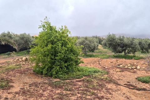 Landejendom i Antigua, Fuerteventura, Antigua - € 450.000 | Ref: MAS0009 - foto 27