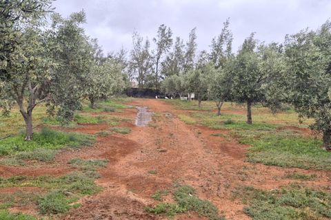Landejendom i Antigua, Fuerteventura, Antigua - € 450.000 | Ref: MAS0009 - foto 30