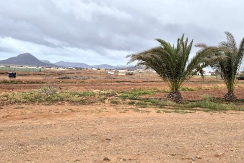 Landejendom i Antigua, Fuerteventura, Antigua - € 450.000 | Ref: MAS0009 - foto 33