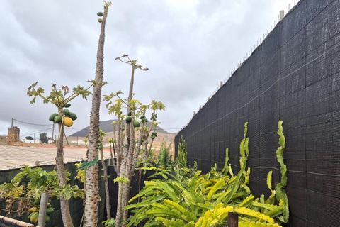 Landejendom i Antigua, Fuerteventura, Antigua - € 450.000 | Ref: MAS0009 - foto 35