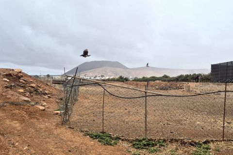 Landejendom i Antigua, Fuerteventura, Antigua - € 450.000 | Ref: MAS0009 - foto 37