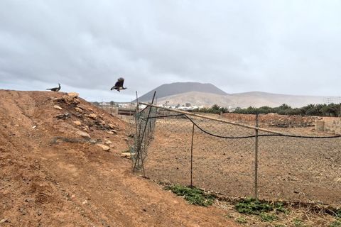 Landejendom i Antigua, Fuerteventura, Antigua - € 450.000 | Ref: MAS0009 - foto 38