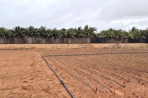 Landejendom i Antigua, Fuerteventura, Antigua - € 450.000 | Ref: MAS0009 - foto 40