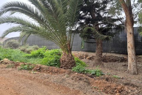 Landejendom i Antigua, Fuerteventura, Antigua - € 450.000 | Ref: MAS0009 - foto 42