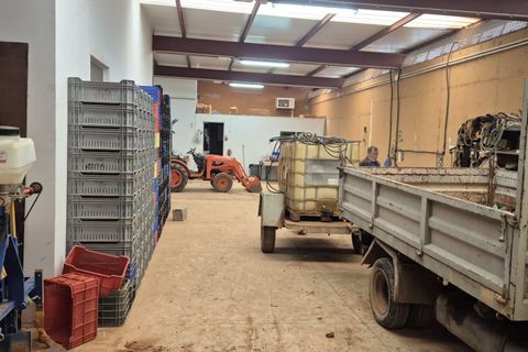Landejendom i Antigua, Fuerteventura, Antigua - € 450.000 | Ref: MAS0009 - foto 48