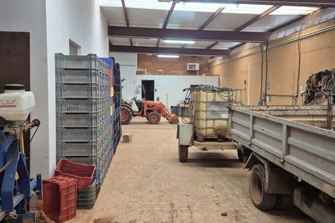 Landejendom i Antigua, Fuerteventura, Antigua - € 450.000 | Ref: MAS0009 - foto 49