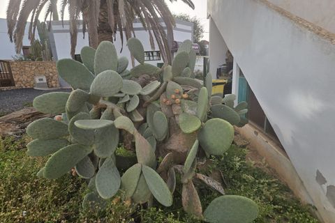 Byhus i Tetir, Fuerteventura, Tetir - € 300.000 | Ref: PUE0001 - foto 2