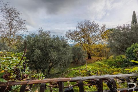 Villa i Collesalvetti, Livorno, Collesalvetti - € 430.000 | Ref: R06892COVI - foto 21