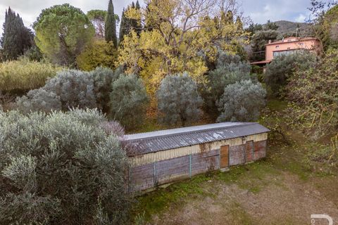 Villa i Collesalvetti, Livorno, Collesalvetti - € 430.000 | Ref: R06892COVI - foto 4