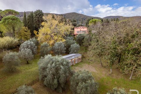 Villa i Collesalvetti, Livorno, Collesalvetti - € 430.000 | Ref: R06892COVI - foto 3