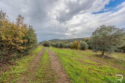 Landejendom i Roccastrada, Grosseto, Roccastrada - € 190.000 | Ref: R06891RORU - foto 16