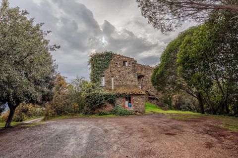 Landejendom i Roccastrada, Grosseto, Roccastrada - € 190.000 | Ref: R06891RORU - foto 13