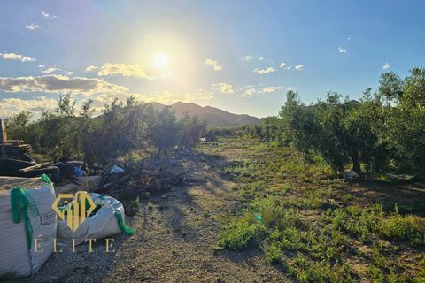 Farm hus i Lorca, Murcia, Lorca - € 160.000 | Ref: 2026/12 - foto 24