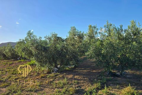 Farm hus i Lorca, Murcia, Lorca - € 160.000 | Ref: 2026/12 - foto 25