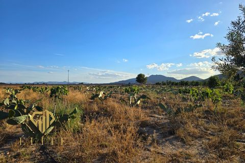 Farm hus i Lorca, Murcia, Lorca - € 160.000 | Ref: 2026/12 - foto 26