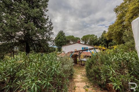 Landejendom i Roccastrada, Grosseto, Roccastrada - € 1.950.000 | Ref: R06874RORU - foto 11