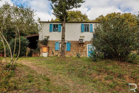 Landejendom i Roccastrada, Grosseto, Roccastrada - € 1.950.000 | Ref: R06874RORU - foto 3