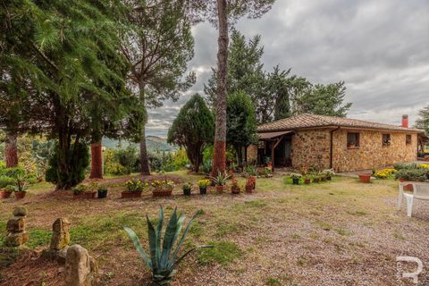 Landejendom i Roccastrada, Grosseto, Roccastrada - € 1.950.000 | Ref: R06874RORU - foto 13
