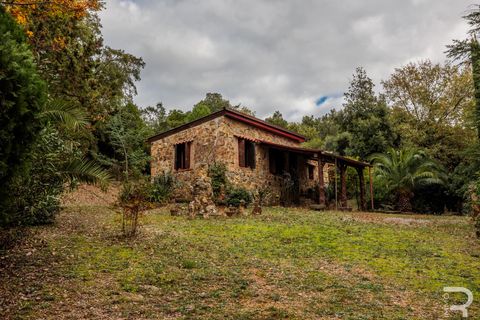 Landejendom i Roccastrada, Grosseto, Roccastrada - € 1.950.000 | Ref: R06874RORU - foto 21