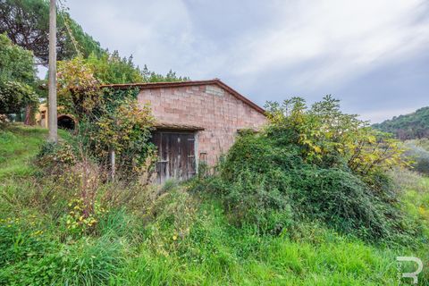 Landejendom i Loro Ciuffenna, Arezzo, Loro Ciuffenna - € 790.000 | Ref: R06855LORU - foto 27