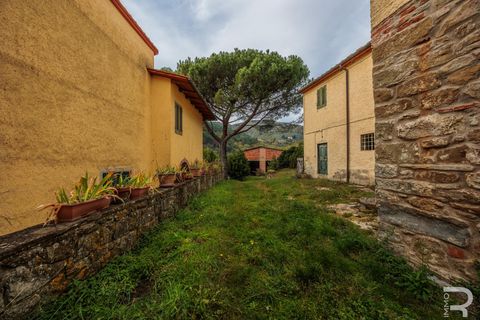 Landejendom i Loro Ciuffenna, Arezzo, Loro Ciuffenna - € 790.000 | Ref: R06855LORU - foto 10