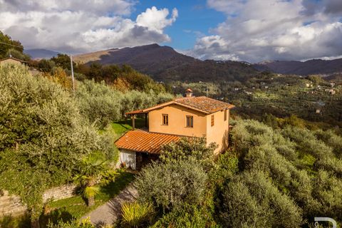 Landejendom i Pescia, Pistoia, Pescia - € 330.000 | Ref: R06870PERU - foto 1