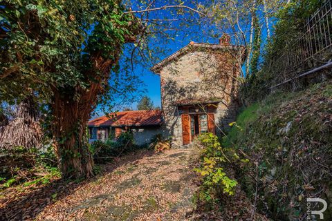 Herregård i Reggello, Florence, Reggello - € 800 000 | Ref: R06866RERU - foto 12